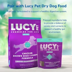 Lucy Pet Products Hip to Be Square Chicken & Pumpkin Formula Dog Treats, 6-oz