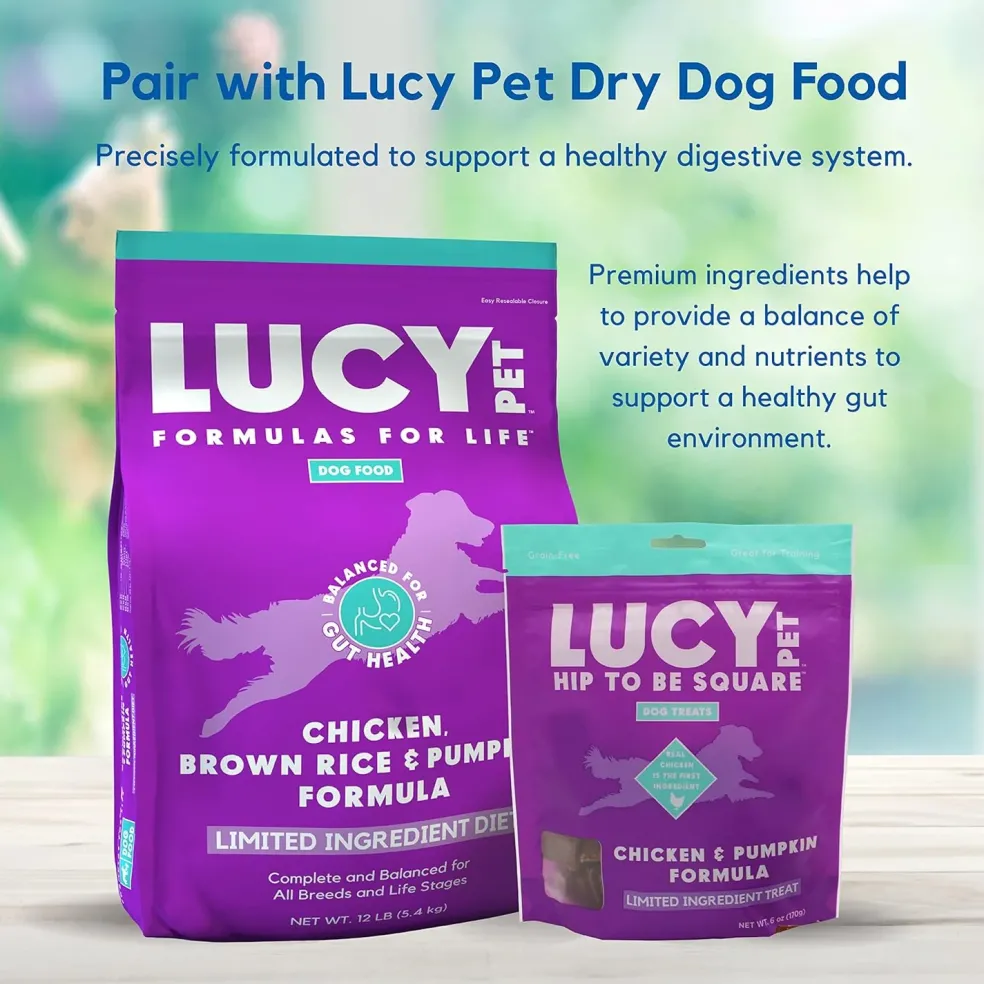 Lucy Pet Products Hip to Be Square Chicken & Pumpkin Formula Dog Treats, 6-oz