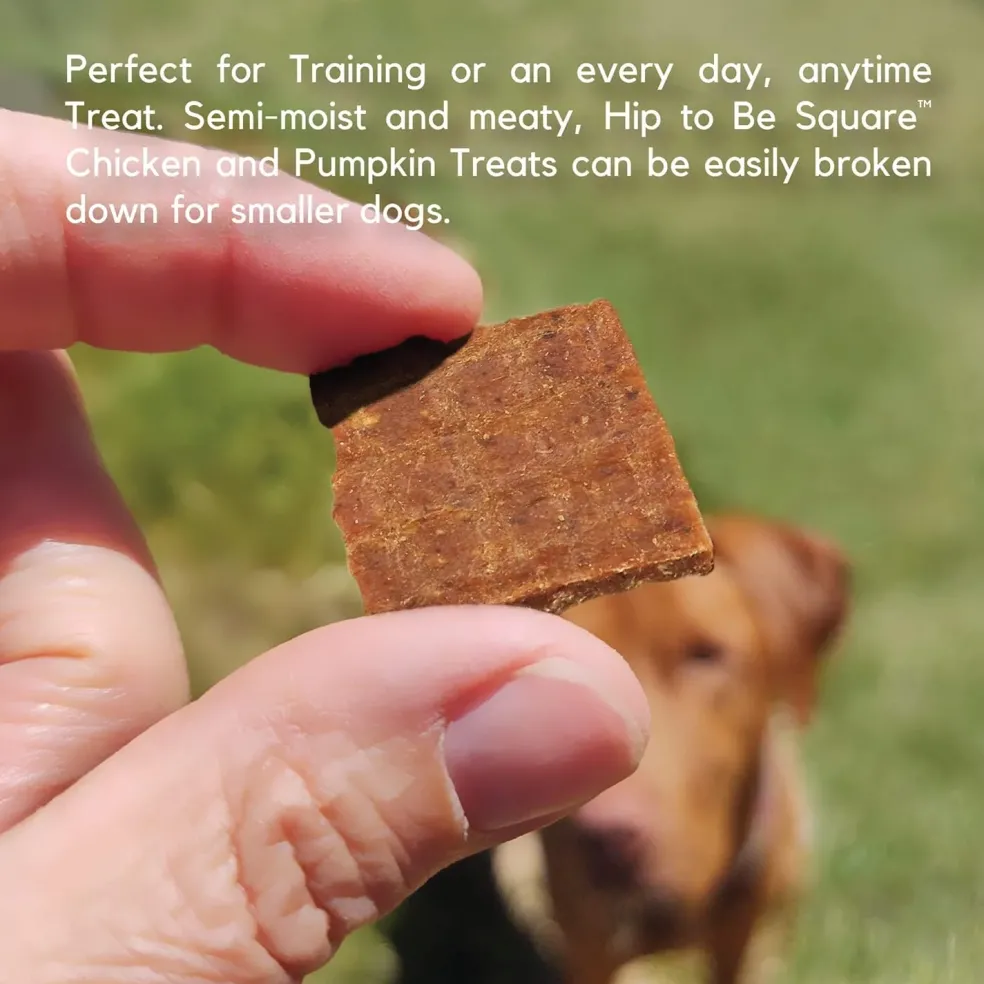 Lucy Pet Products Hip to Be Square Chicken & Pumpkin Formula Dog Treats, 6-oz