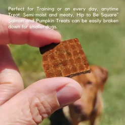 Lucy Pet Products Hip to Be Square Salmon & Pumpkin Formula Dog Treats, 6-oz