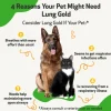 Lung Gold - Lower Respiratory Tract Support for Dogs (2 oz)