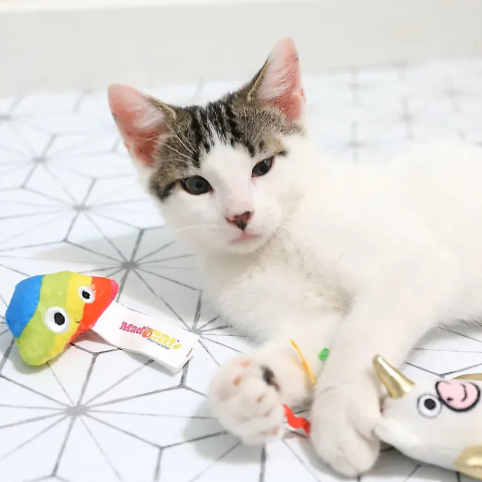 Mad Cat Mewnicorn Toy For Cats (2 pk)
