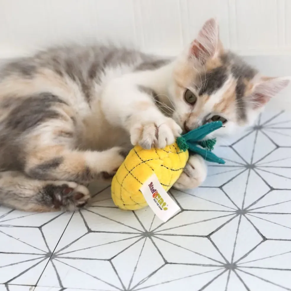 Mad Cat Purrfect Pineapple w/Catnip & Silvervine Toy For Cats