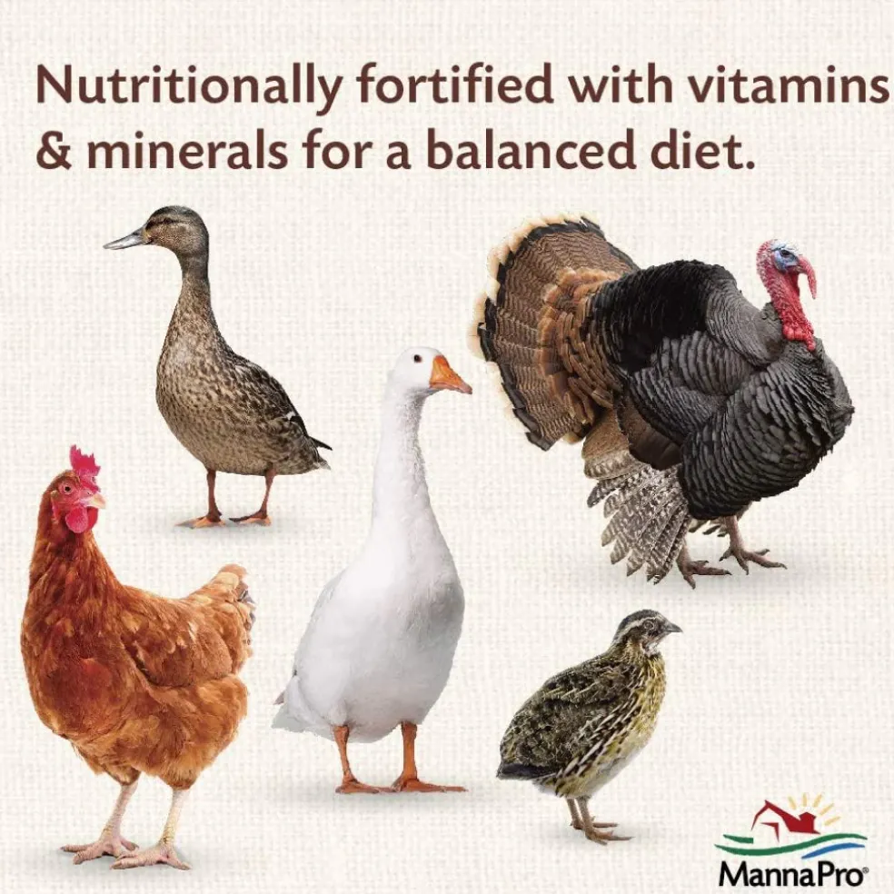 Manna Pro 16% All Flock Crumbles with Probiotics (8 lb)