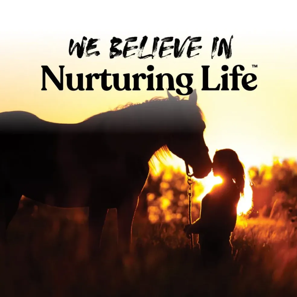 Manna Pro Apple Bite-Sized Nugget Treats for Horses