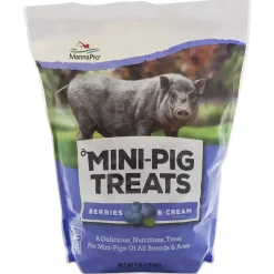 Manna Pro Berries & Cream Treats For Mini Pigs (4 lb)