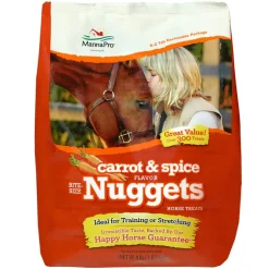 Manna Pro Carrots & Spice Bite-Sized Nugget Treats for Horses (4 lb)