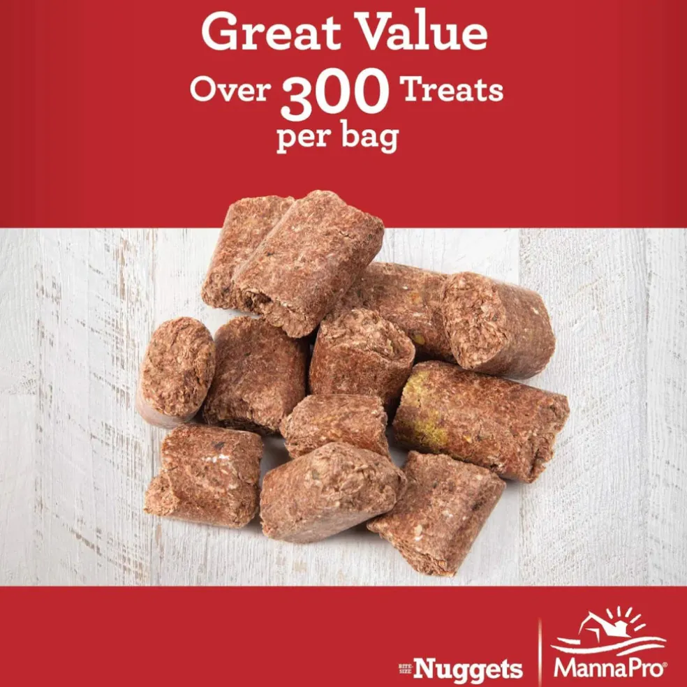 Manna Pro Carrots & Spice Bite-Sized Nugget Treats for Horses (4 lb)