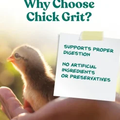 Manna Pro Chick Grit Digestive Supplement with Probiotics (5 lb)