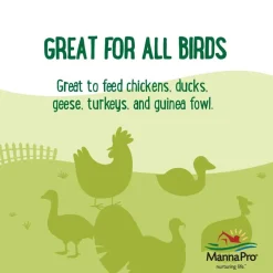 Manna Pro Farmhouse Favorites Mealworm Coop Cakes for Poultry (3 cakes)