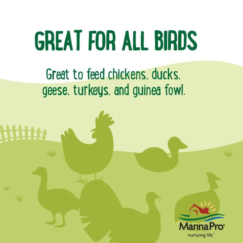 Manna Pro Farmhouse Favorites Double Bug Mix Poultry Treat (2 lb)