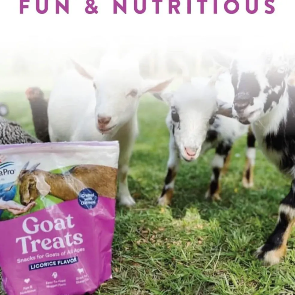 Manna Pro Licorice Flavor Goat Treats (6 lb)