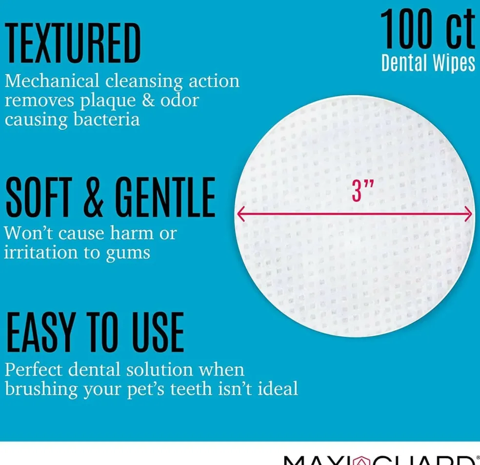 MAXI/GUARD Dental Wipes (100 ct)