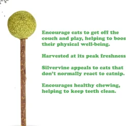 Meowijuana Lollies Silvervine Sticks with Catnip for Cats (3 ct)
