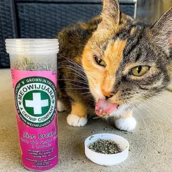 Meowijuana Mice Dreams Passion Flower (Lavender) and Catnip Blend (0.917 oz)