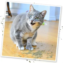 Meowijuana Purrple Passion Catnip & Silvervine Blend Catnip (0.917 oz)