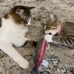Meowijuana Refillable Get Smoked Fish Cat Toy with Refillable Catnip