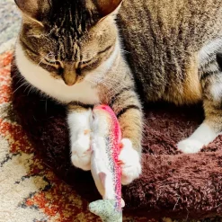 Meowijuana Refillable Get Smoked Fish Cat Toy with Refillable Catnip