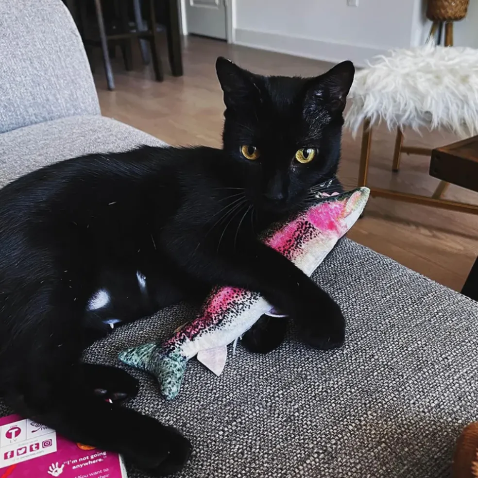 Meowijuana Refillable Get Smoked Fish Cat Toy with Refillable Catnip