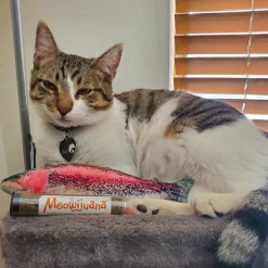 Meowijuana Refillable Get Smoked Fish Cat Toy with Refillable Catnip