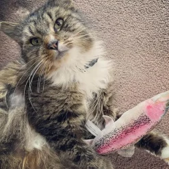 Meowijuana Refillable Get Smoked Fish Cat Toy with Refillable Catnip