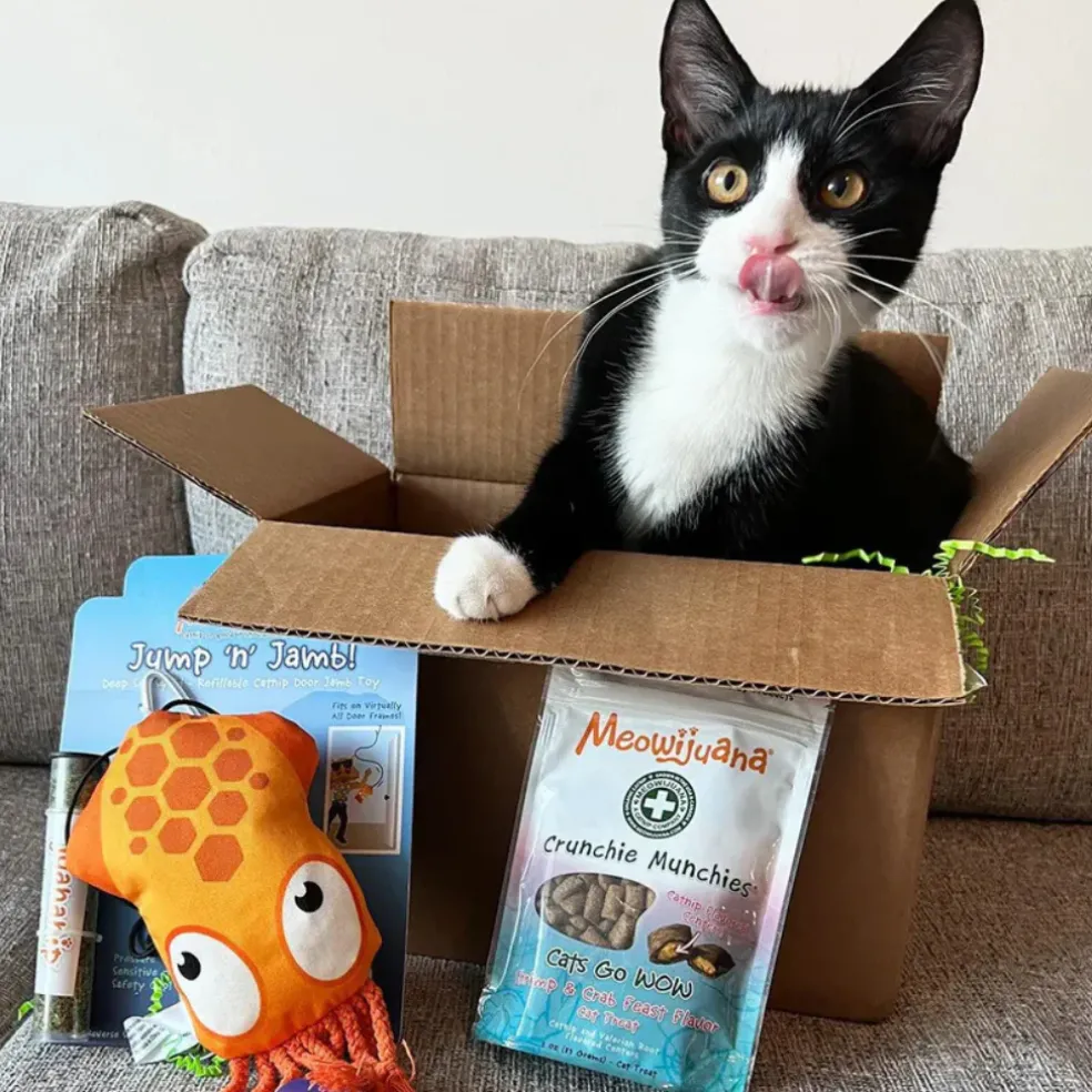 Meowijuana Refillable Jump 'n' Jamb Deep Sea Squid Hanging Cat Toy