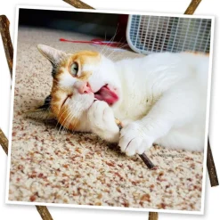 Meowijuana Silvervine Sticks for Cats (6 ct)