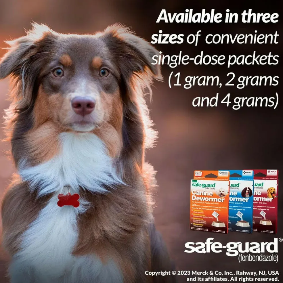 Merck Safe-Guard Canine Dewormer for Dogs 6 weeks and older (4 gram x 3 sachets)