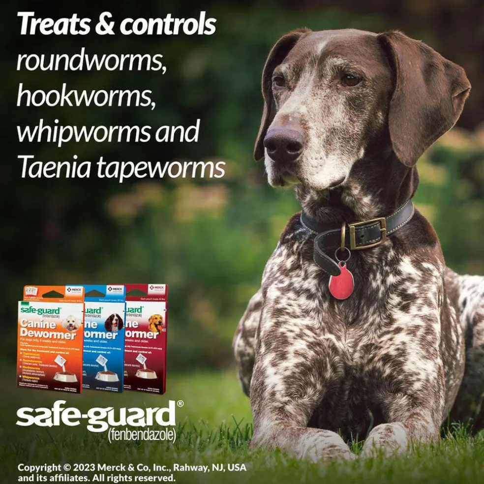 Merck Safe-Guard Canine Dewormer for Dogs 6 weeks and older (4 gram x 3 sachets)