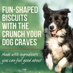 Merrick Oven Baked Pumpkin Patch with Real Pumpkin Treats For Dogs (11 oz)