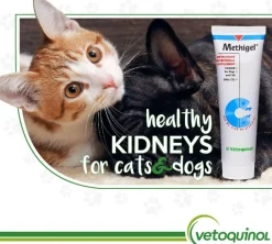 Methigel Urinary Supplement for Cats & Dogs (4.25 oz tube)