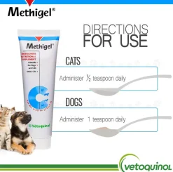 Methigel Urinary Supplement for Cats & Dogs (4.25 oz tube)