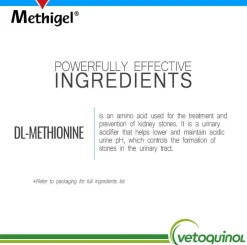 Methigel Urinary Supplement for Cats & Dogs (4.25 oz tube)