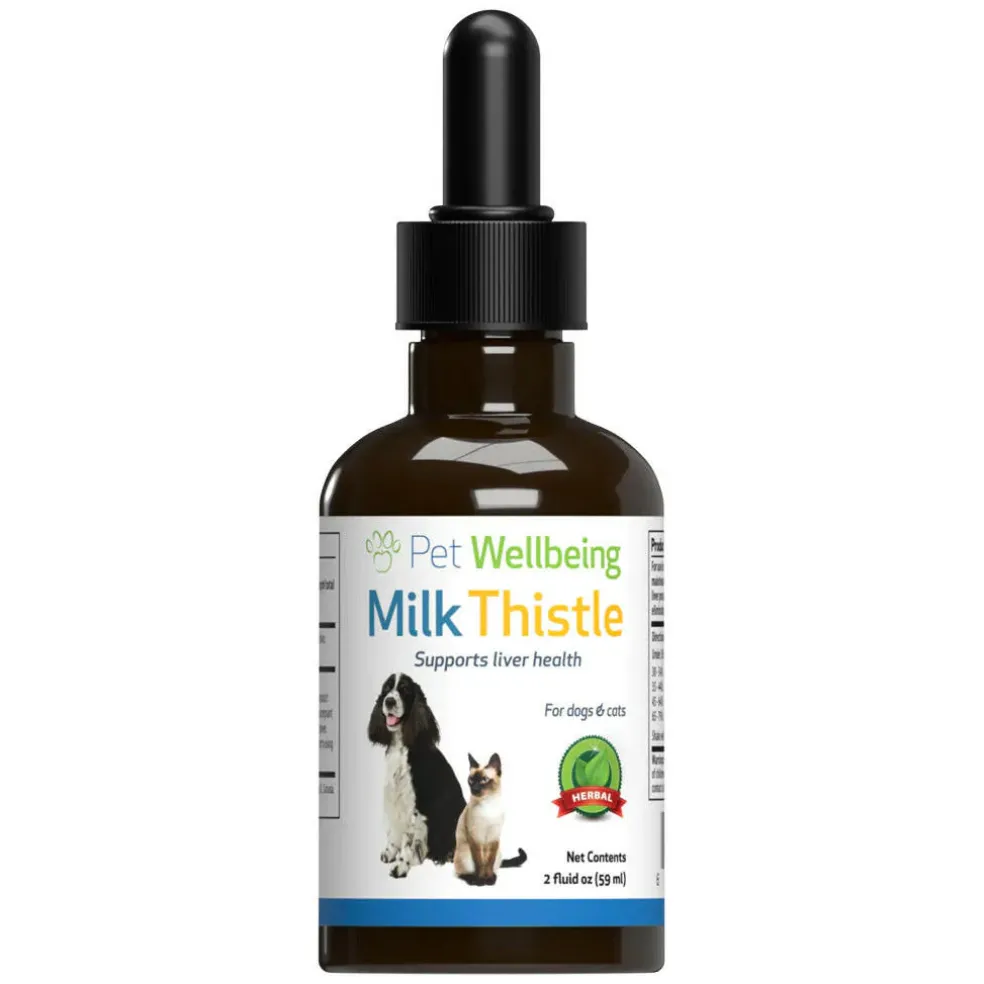 Milk Thistle - for Healthy Liver Function in Cats