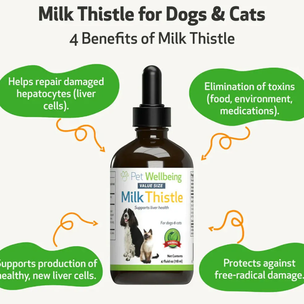 Milk Thistle - for Healthy Liver Function in Cats