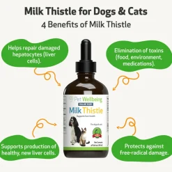 Milk Thistle Supplement for Healthy Liver Function in Dogs