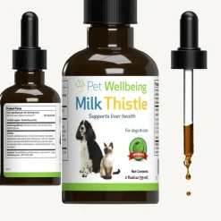 Milk Thistle Supplement for Healthy Liver Function in Dogs