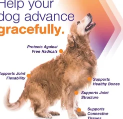 MovoFlex ADVANCED Joint Support for Medium Dogs (60 soft chews)