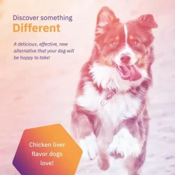 MovoFlex Joint Support for Large Dogs (60 soft chews)