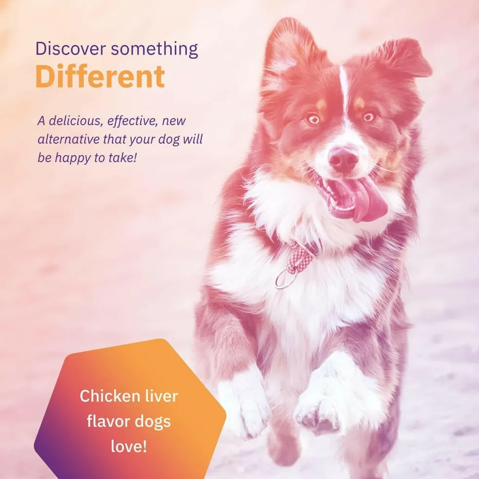 MovoFlex Joint Support for Medium Dogs (60 soft chews)