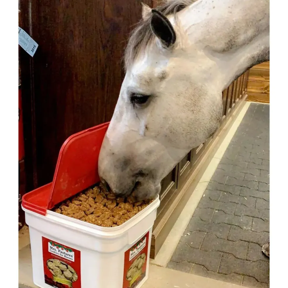 Mrs. Pastures Original Horse Cookies
