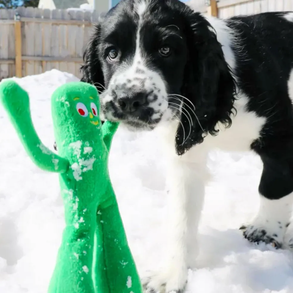 Multipet Gumby Plush Squeaky Toy For Dogs