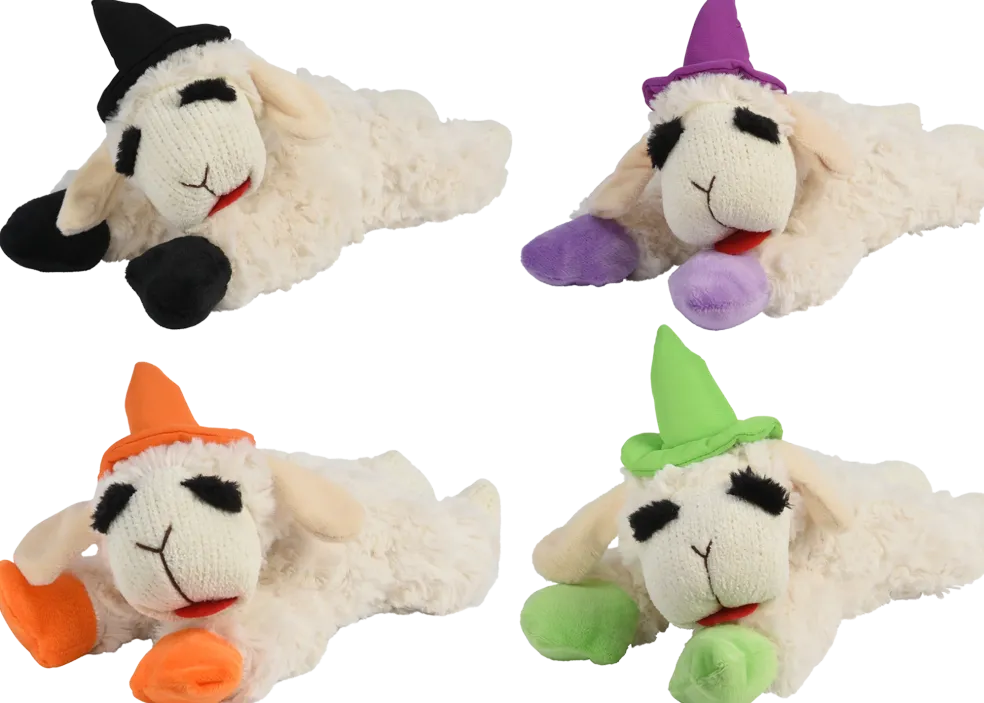 Multipet Halloween Lamb Chop Witch Hat Orange Dog Toy