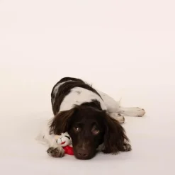 Multipet Lamb Chop Knobby Noggins Plush Squeaky Dog Toy Assorted 5