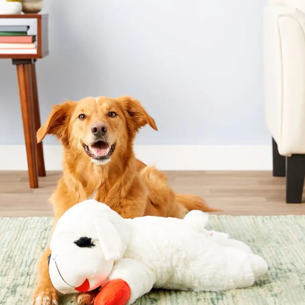 Multipet Lamb Chop Plush Squeaky Dog Toy