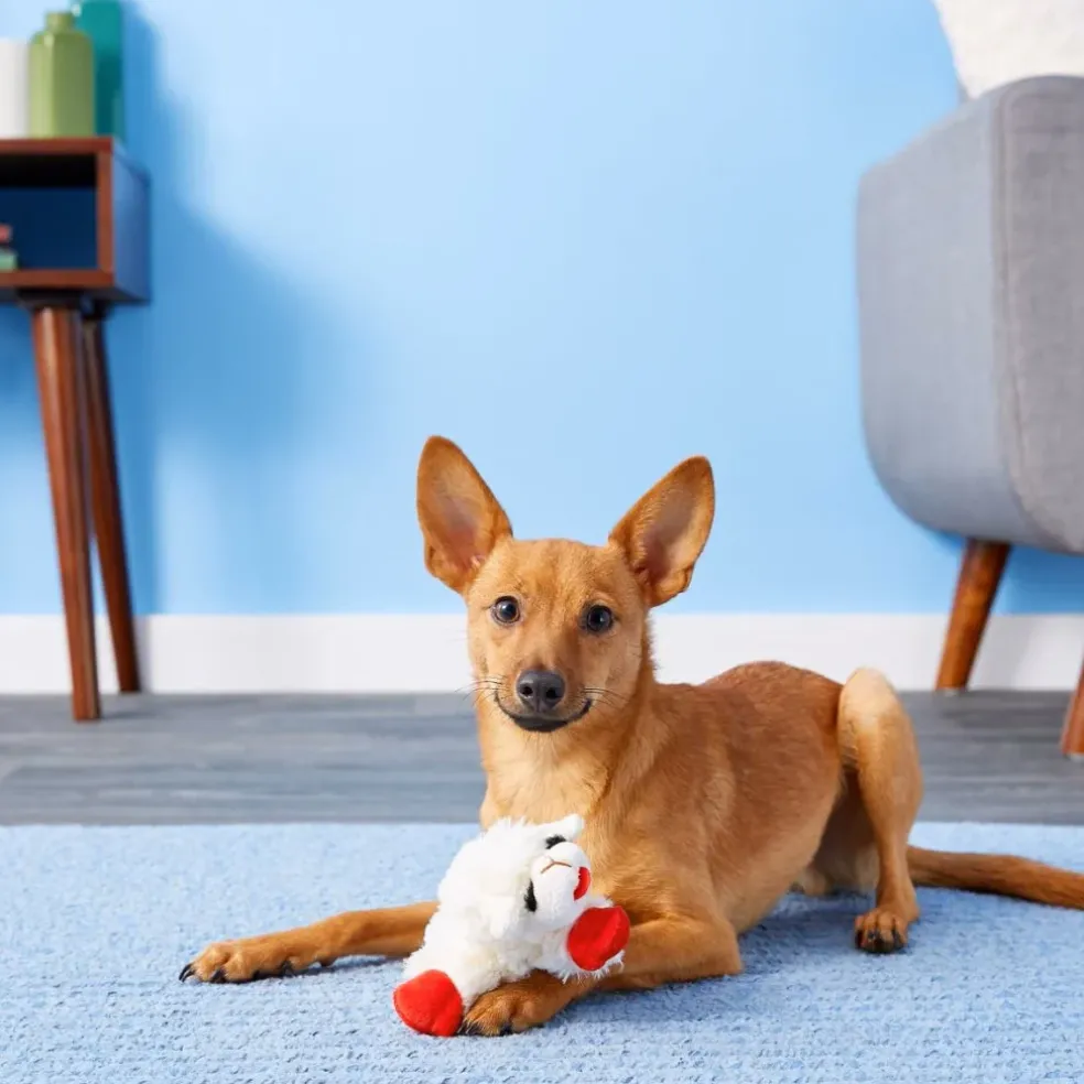 Multipet Lamb Chop Plush Squeaky Dog Toy