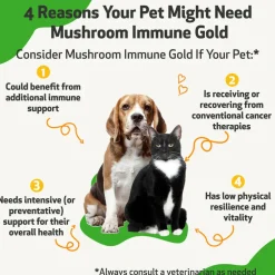 Mushroom Immune Gold - Holistic Cancer Support for Cats (8 oz)