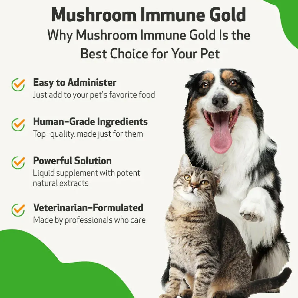 Mushroom Immune Gold - Holistic Cancer Support for Cats (8 oz)