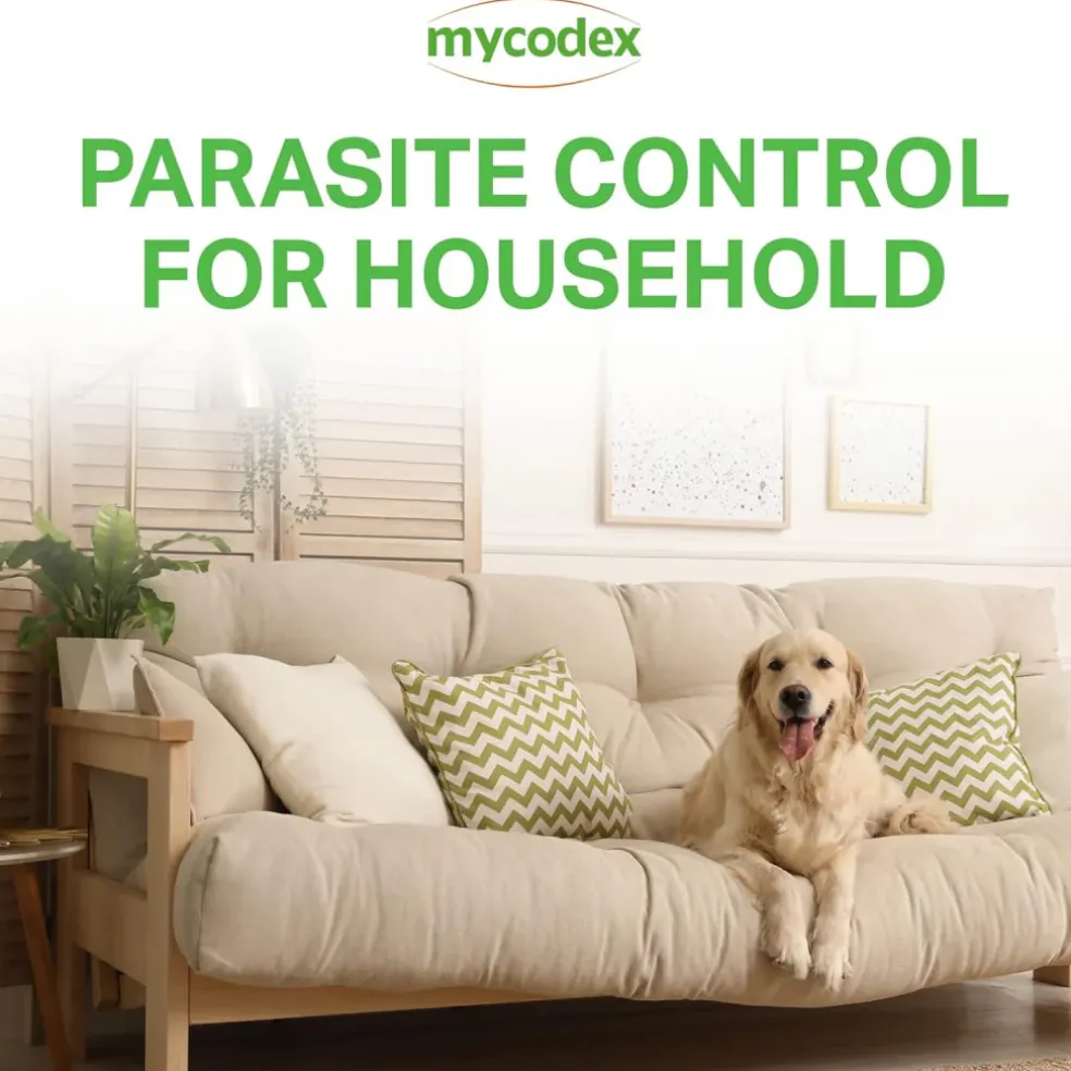 Mycodex Plus Environmental Control Aerosol Household Spray (16-oz)