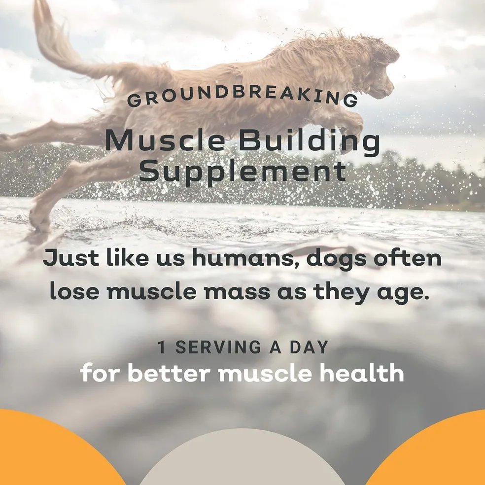 MYOS Canine Muscle Formula Dog Supplement